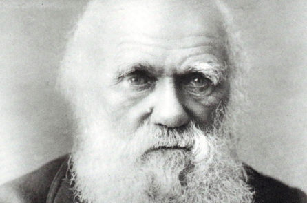 Charles-Darwin-PPP-446x295.jpg