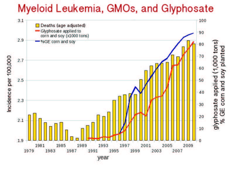 Bệnh bạch cầu tủy ở Mỹ gia tăng nhanh kể từ khi GMO được đưa vào sử dụng năm 1996 và glyphosate được phun tràn lan (nguồn: responsibletechnology.org)