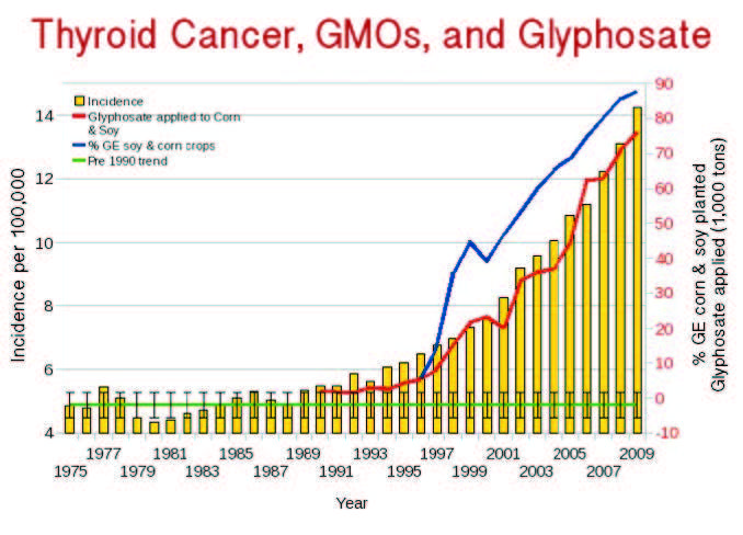 Ung thư tuyến giáp gia tăng nhanh kể từ khi GMO được đưa vào sử dụng năm 1996 và glyphosate được phun tràn lan (nguồn: responsibletechnology.org)