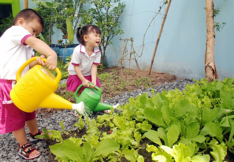 Kết quả hình ảnh cho trẻ em trồng cây