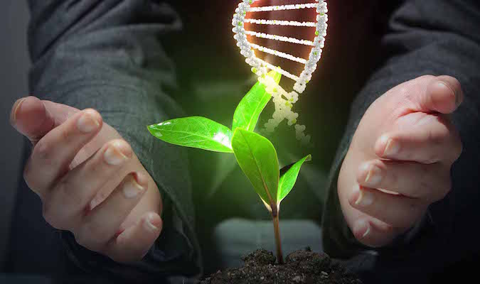 Tính phức tạp của thông tin của DNA chứng tỏ tiến hóa là điều bất khả. (Ảnh: Shutterstock)