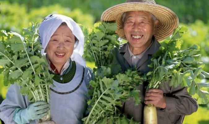 Vì sao người Nhật sống lâu hơn người Việt 10 năm?
