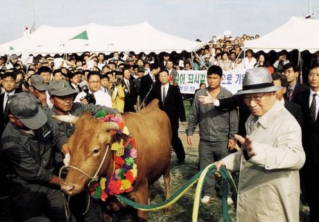 Chung Ju-yung: Hành trình từ một con bò tới đế chế Hyundai
