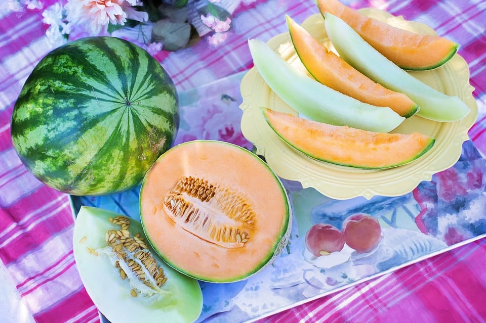 pixabay-melons
