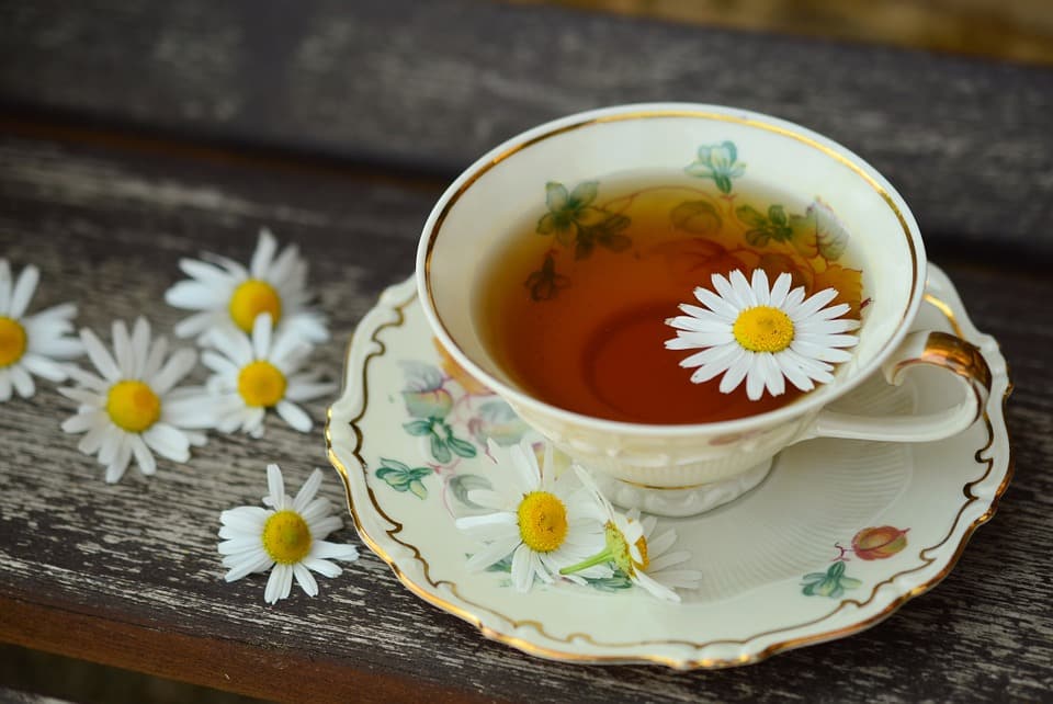 trà trắng, uống trà, trà xanh