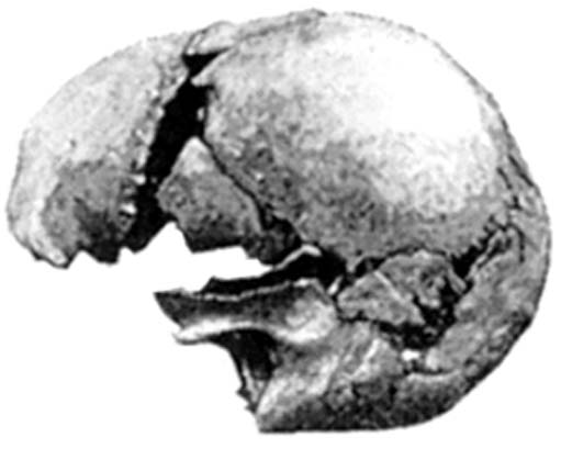 Modern-human-skull-Castenedolo