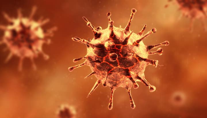 Trong 6 nhóm triệu chứng chủ yếu liên quan đến người bị viêm phổi Vũ Hán, phổ biết nhất là bị đau đầu. Hình ảnh virus viêm phổi Vũ Hán (Nguồn: Panorama Images /Shutterstock).